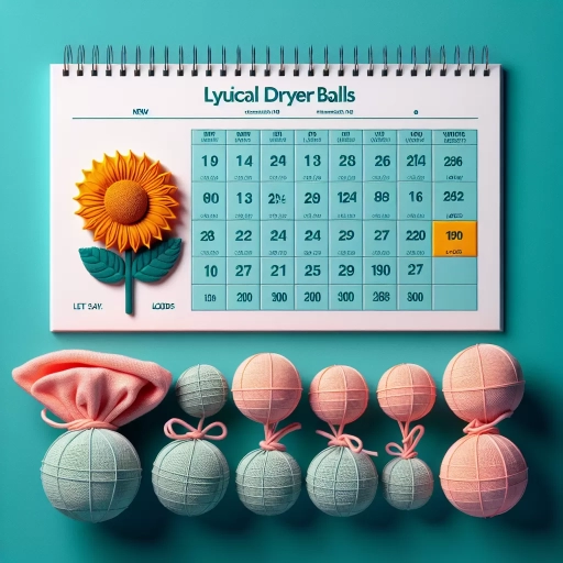 how long do dryer balls last