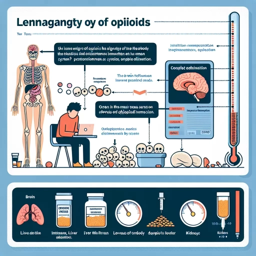 how long do opioids stay in your system