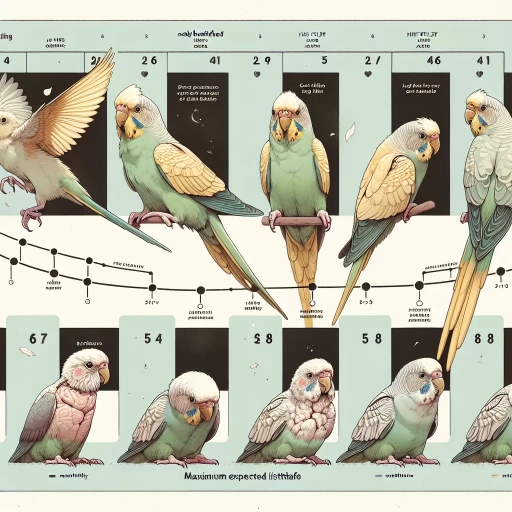 how long do parakeets live