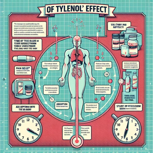 how long does it take tylenol to work
