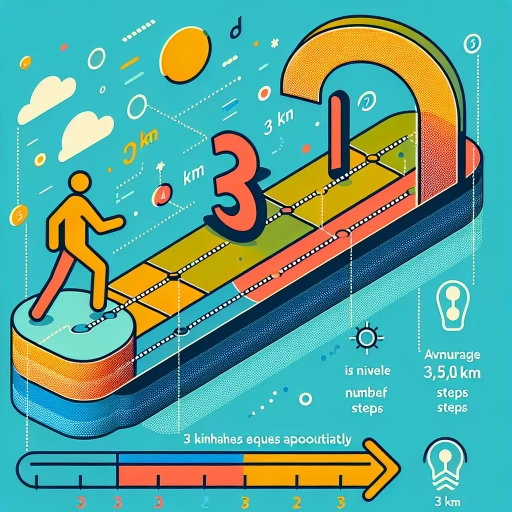 how many steps is 3 km