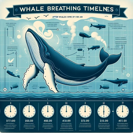 how often do whales come up for air