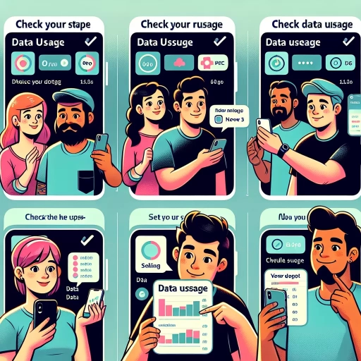how to check data usage
