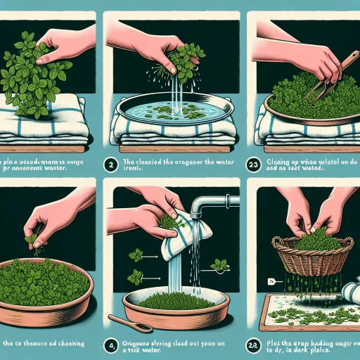 how to dry oregano