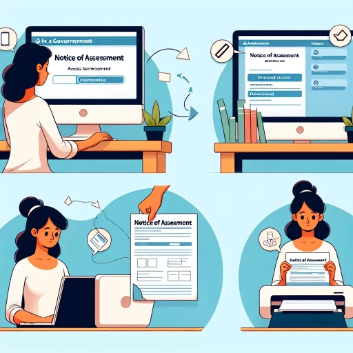 how to get a notice of assessment