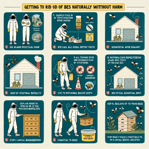 how to get rid of bees naturally