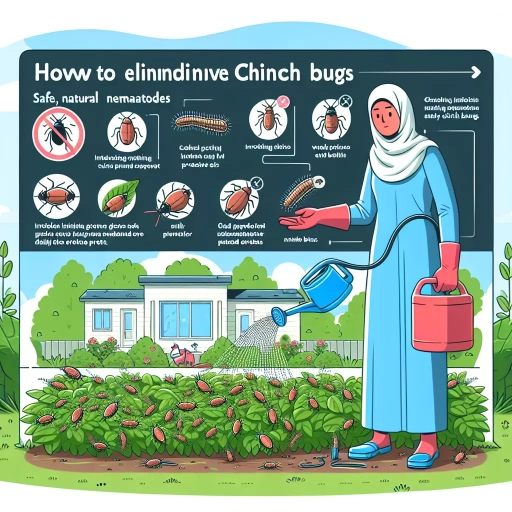 how to get rid of chinch bugs