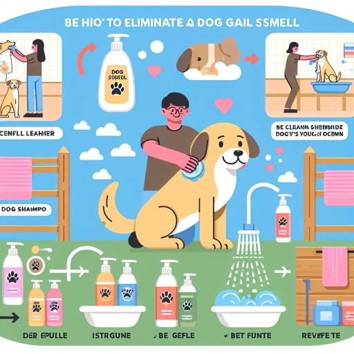 how to get rid of dog gland smell