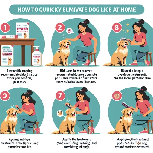 how to get rid of dog lice at home fast
