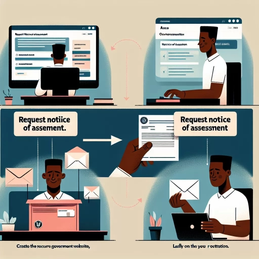 how to get your notice of assessment