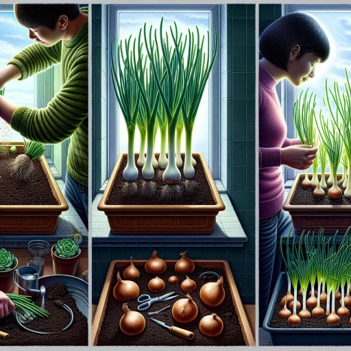 how to grow green onions indoors
