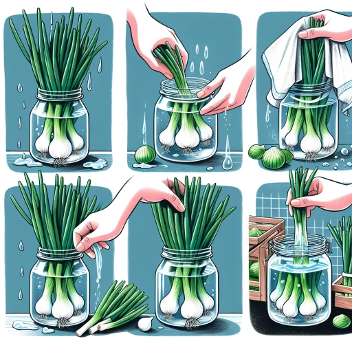 how to keep green onion fresh