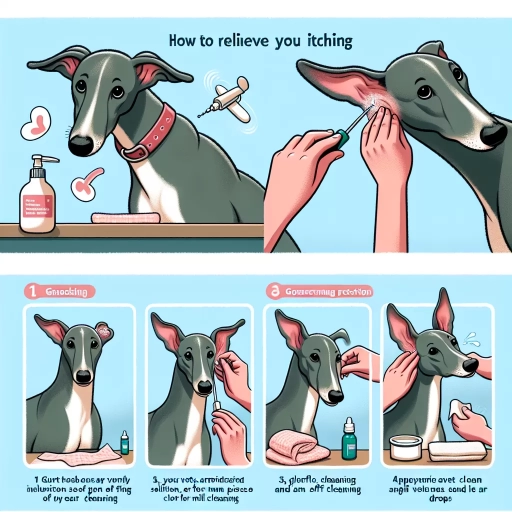 how to relieve dog ear itching