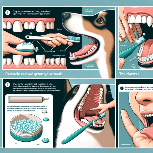 how to remove tartar from dog teeth