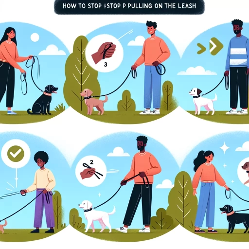 how to stop dog from pulling on leash
