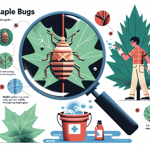 maple bugs how to get rid of