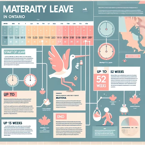 how long is maternity leave in ontario