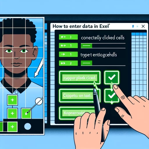 how to enter in excel