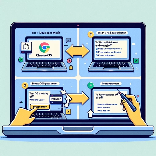 how to turn on chrome os developer mode