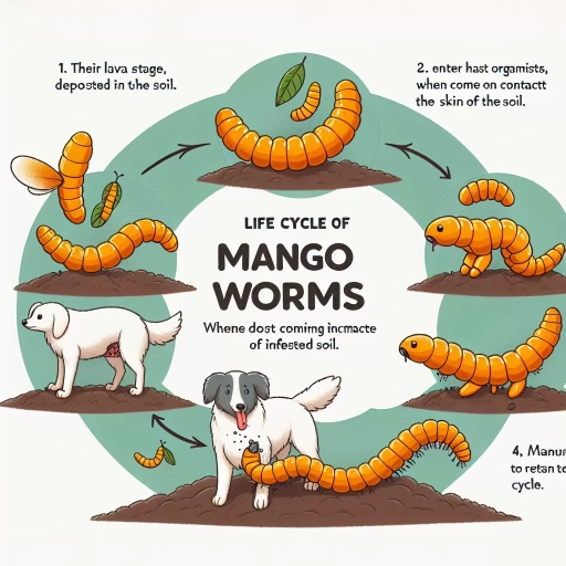 what are mango worms