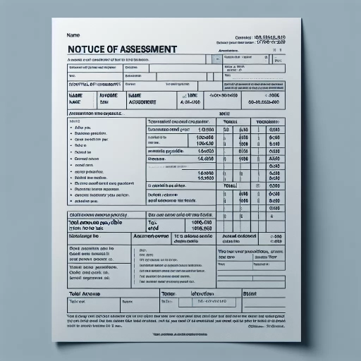 what does a notice of assessment look like