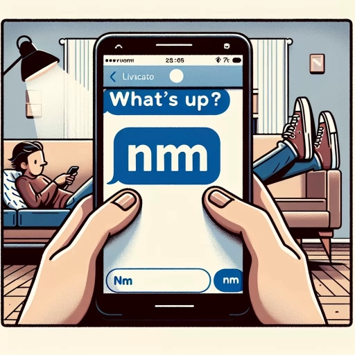 what does nm mean text