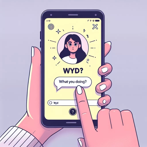 what does wyd mean on snapchat