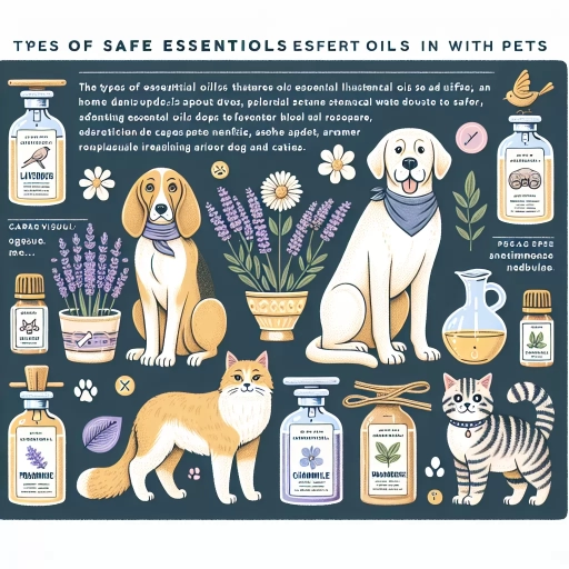 what essential oils are safe to diffuse around dogs and cats