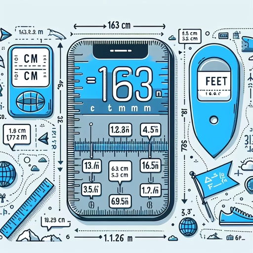 what is 163 cm in feet