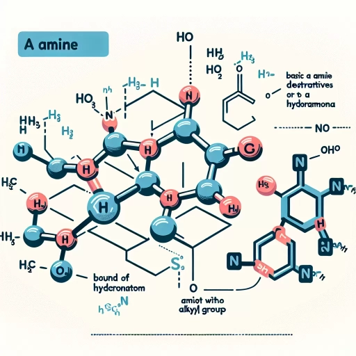 what is an amine