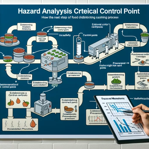 what is the next step in the haccp process