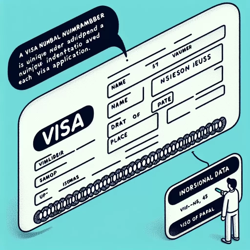 what is visa number