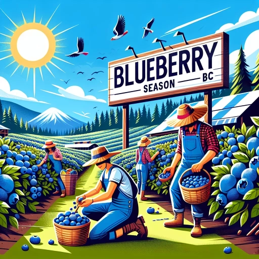 when is blueberry season in bc