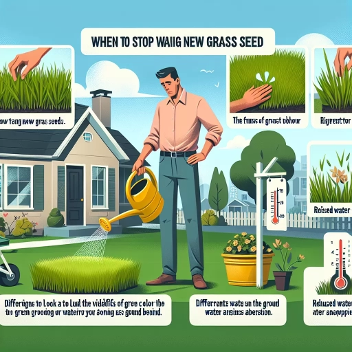 when to stop watering new grass seed