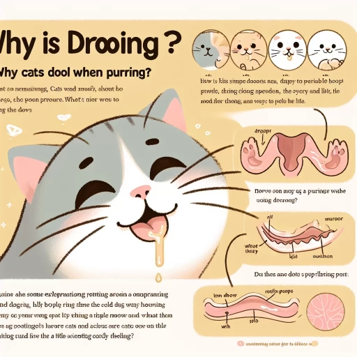 why do cats drool when purring