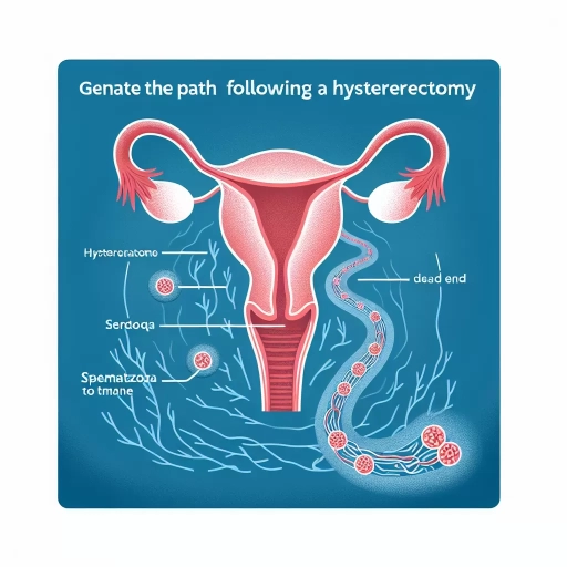 where does sperm go after hysterectomy