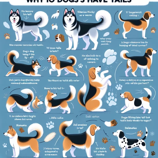 why do dogs have tails