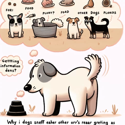 why do dogs sniff butts