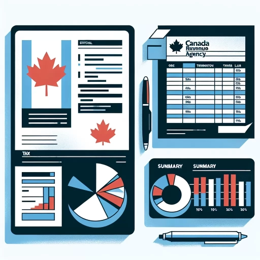 what is a statement of account cra