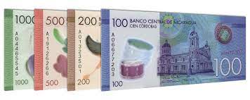 Nicaraguan Cordoba Banknote - Mixed
