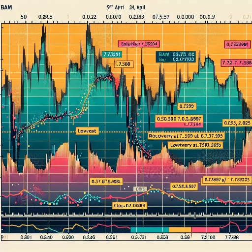 BAM Exchange Rates Showcase Dramatic Rise and Fall on One Day